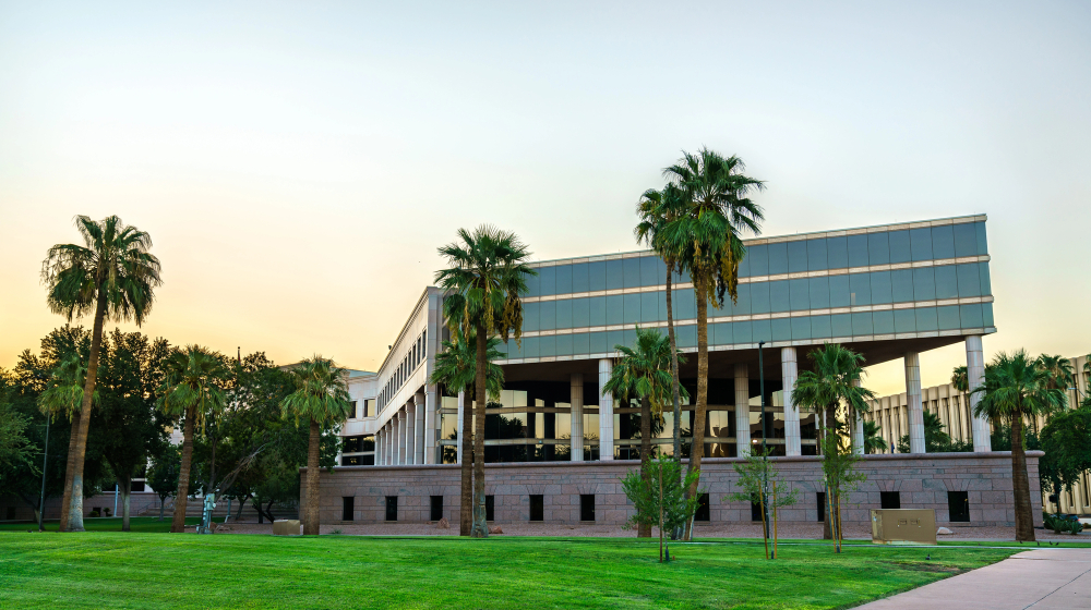 Commercial Tree Services Phownix Az