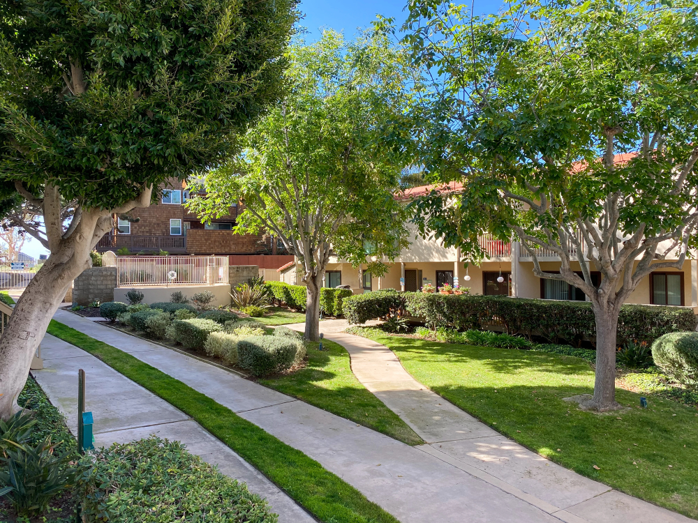 Commercial Tree Services Phoenix Metropolitan Area